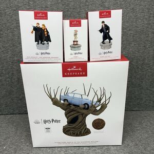 2024 2025 Hallmark Ornament Harry Potter Storytellers  bundle with Cord